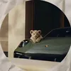 Someone