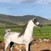 Someone