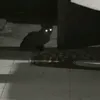 Someone