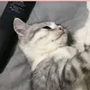 Someone
