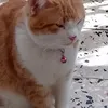 Someone