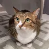 Someone