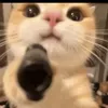 Someone