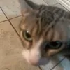 Someone