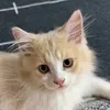 Someone