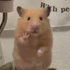 Someone