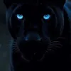 Someone