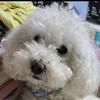 Someone