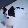 Someone