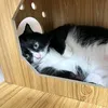 Someone