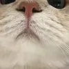 Someone