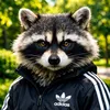 ЕНОТ🦝Adidas