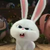 Bunny🐰🐰💝