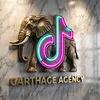 carthage agency tn
