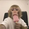 Đăng Khôi