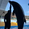 Dolphin&Grynch🐬