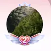 حمنة لوكوا