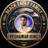 🦅  PESHAWAR KINGᶜᴼˊᶠᴼᵁᴺᴰᴱᴿ 🦅