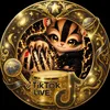 ippy_dr
