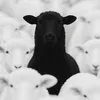 🐑🧖🏻‍♀️𝐋.𝐀👷‍♂️
