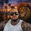 mirnel.live.new