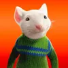 rodfazzio 🐁