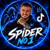 spiderno11
