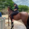 🐎LA POTRA REBELDE 🖤👻🦍