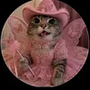 𝑿itlaly 𝑫’𝑪𝒐𝒄𝒂𝒔 🌸🌮🐱